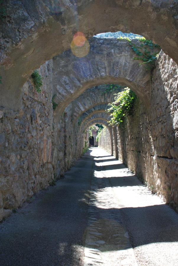 Appartement De Charme Au Coeur D Une Cite Medievale Villefranche-de-Conflent Εξωτερικό φωτογραφία